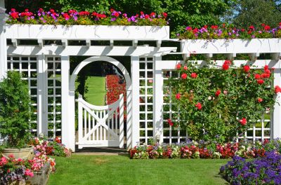 Arbor Replacement in Conroe, TX