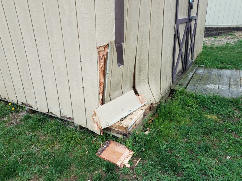 Storage Shed Repair in Conroe, TX