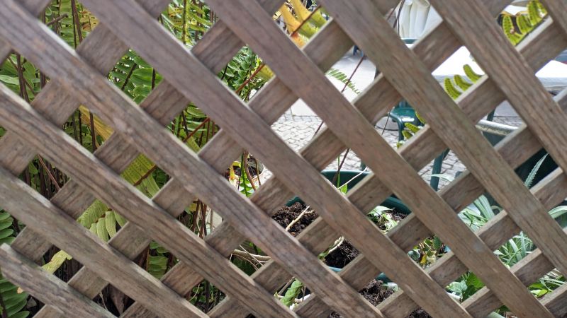 Trellis Fence Construction in Conroe, TX